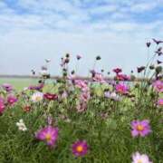 ヒメ日記 2025/12/22 01:26 投稿 ひかり Applepie（アップルパイ）