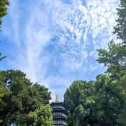 ヒメ日記 2025/12/23 11:31 投稿 ひかり Applepie（アップルパイ）