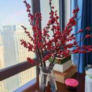 ヒメ日記 2026/01/02 03:47 投稿 ひかり Applepie（アップルパイ）