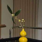 ヒメ日記 2026/01/03 01:30 投稿 ひかり Applepie（アップルパイ）