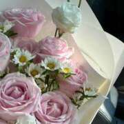 ヒメ日記 2026/01/21 02:14 投稿 ひかり Applepie（アップルパイ）