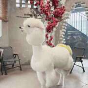 ヒメ日記 2026/01/28 16:20 投稿 ひかり Applepie（アップルパイ）