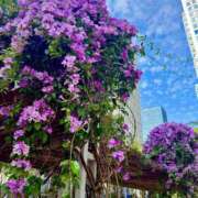 ヒメ日記 2026/01/29 01:28 投稿 ひかり Applepie（アップルパイ）