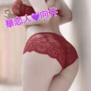 ヒメ日記 2025/08/30 14:17 投稿 向井 華恋人(カレント)