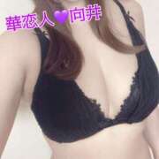 ヒメ日記 2025/09/19 12:28 投稿 向井 華恋人(カレント)