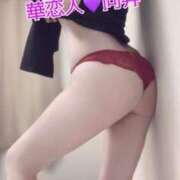 向井 ついてけない 華恋人(カレント)