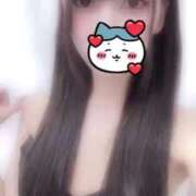 ヒメ日記 2025/07/31 13:44 投稿 【S】せいは E+品川店