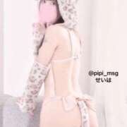 ヒメ日記 2025/08/06 12:04 投稿 【S】せいは E+品川店