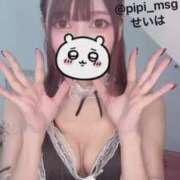 ヒメ日記 2025/09/21 14:04 投稿 【S】せいは E+品川店