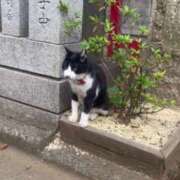 ヒメ日記 2025/07/22 21:50 投稿 るな（新人割引7/4まで） ウルトラグレイス24