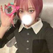 ヒメ日記 2026/03/23 09:50 投稿 るな（新人割引7/4まで） ウルトラグレイス24