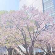 ヒメ日記 2026/03/29 23:58 投稿 るな（新人割引7/4まで） ウルトラグレイス24