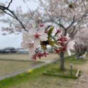 ヒメ日記 2025/07/04 13:05 投稿 光【ヒカリ】 ピンクコレクション大阪キタ店