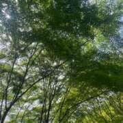 ヒメ日記 2025/07/04 17:19 投稿 光【ヒカリ】 ピンクコレクション大阪キタ店