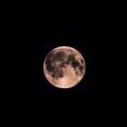 ヒメ日記 2025/07/02 14:17 投稿 光【ヒカリ】 ピンクコレクション尼崎店