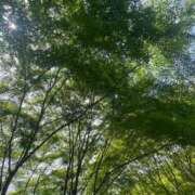 ヒメ日記 2025/07/04 17:22 投稿 光【ヒカリ】 ピンクコレクション尼崎店