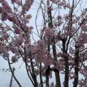 ヒメ日記 2025/07/09 17:49 投稿 光【ヒカリ】 ピンクコレクション尼崎店