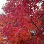 ヒメ日記 2025/07/09 17:55 投稿 光【ヒカリ】 ピンクコレクション尼崎店