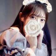 ヒメ日記 2025/11/01 13:01 投稿 夢咲わか Finemotion