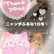 ヒメ日記 2025/10/27 09:23 投稿 谷若 春菜 30代40代50代と遊ぶなら博多人妻専科24時