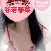 ヒメ日記 2025/10/28 13:09 投稿 谷若 春菜 30代40代50代と遊ぶなら博多人妻専科24時