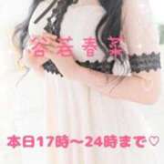 谷若 春菜 こんにちは🩷 30代40代50代と遊ぶなら博多人妻専科24時