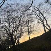 ヒメ日記 2025/07/30 21:20 投稿 えり 妻天 尼崎店