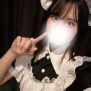 チリ おはよう?? エピソード(品川)