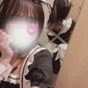 ヒメ日記 2026/02/01 14:31 投稿 チリ エピソード(品川)