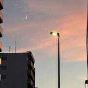 ヒメ日記 2025/08/03 11:03 投稿 せいか 錦糸町ミセスアロマ（ユメオト）