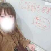 ヒメ日記 2026/01/21 01:14 投稿 らん 谷町豊満奉仕倶楽部