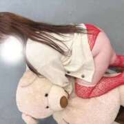 ヒメ日記 2026/01/29 23:30 投稿 らん 谷町豊満奉仕倶楽部