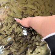 ヒメ日記 2026/03/16 19:14 投稿 らん 谷町豊満奉仕倶楽部