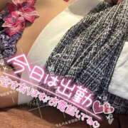 ヒメ日記 2026/03/04 09:00 投稿 れん TALENT（タレント）