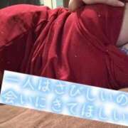 ヒメ日記 2026/04/03 20:02 投稿 れん TALENT（タレント）