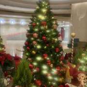 ヒメ日記 2025/11/27 18:37 投稿 尾崎 Bell.Madonna（ベルマドンナ）