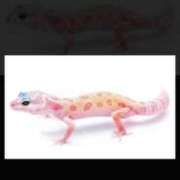 せな お疲れ様です♡♡ with SPA (ウィズスパ)