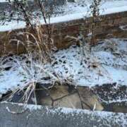 ヒメ日記 2026/02/08 07:55 投稿 せな with SPA (ウィズスパ)