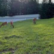 ヒメ日記 2025/11/28 19:14 投稿 東雲あかね お姉さんLABO -艶-