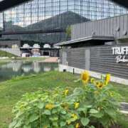 ヒメ日記 2025/11/30 16:18 投稿 東雲あかね お姉さんLABO -艶-