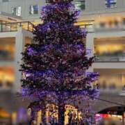 東雲あかね ツリー🎄🎅 お姉さんLABO -艶-