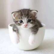 ヒメ日記 2026/02/13 14:11 投稿 東雲あかね お姉さんLABO -艶-