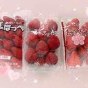 ヒメ日記 2026/03/05 14:08 投稿 東雲あかね お姉さんLABO -艶-