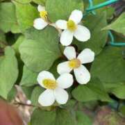 ヒメ日記 2025/09/20 11:18 投稿 よしこ 熟女の風俗最終章 八王子店