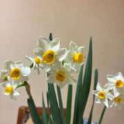 ヒメ日記 2026/01/25 12:43 投稿 よしこ 熟女の風俗最終章 八王子店