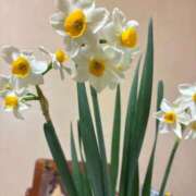 ヒメ日記 2026/01/26 13:13 投稿 よしこ 熟女の風俗最終章 八王子店