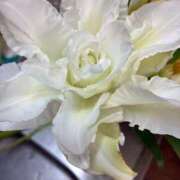 ヒメ日記 2026/03/15 12:23 投稿 よしこ 熟女の風俗最終章 八王子店