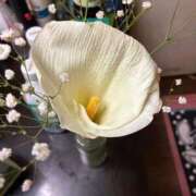 ヒメ日記 2026/03/21 10:16 投稿 よしこ 熟女の風俗最終章 八王子店