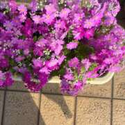 ヒメ日記 2026/03/27 10:39 投稿 よしこ 熟女の風俗最終章 八王子店