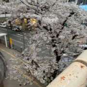 ヒメ日記 2026/03/28 10:23 投稿 よしこ 熟女の風俗最終章 八王子店